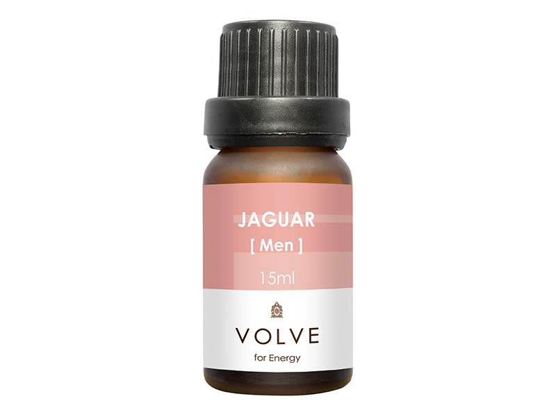 VOLVE JAGUAR(ジャガー)