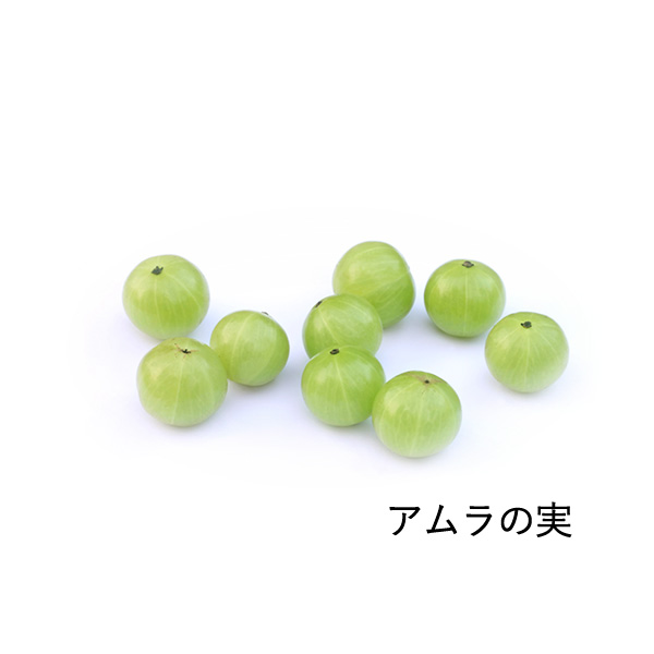 ミキアスプリプラスの商品画像