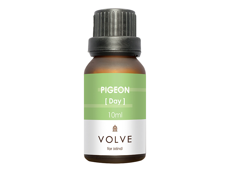 VOLVE PIGEON(ピジョン)