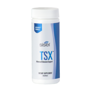 TS-Xの製品画像