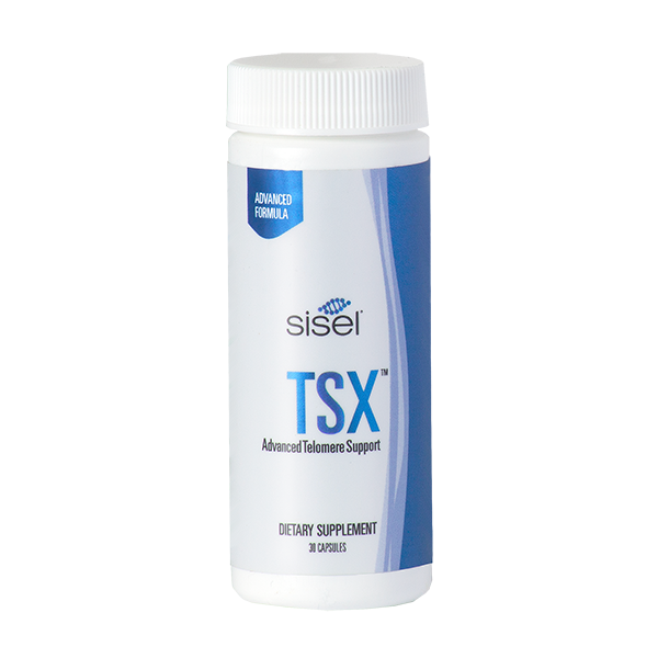 TS-Xの製品画像