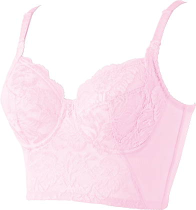 シャンデール ベル ロングブラジャーの製品画像