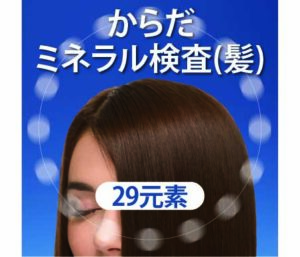 からだミネラル検査(髪)