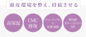 紫輝HCミストの商品画像