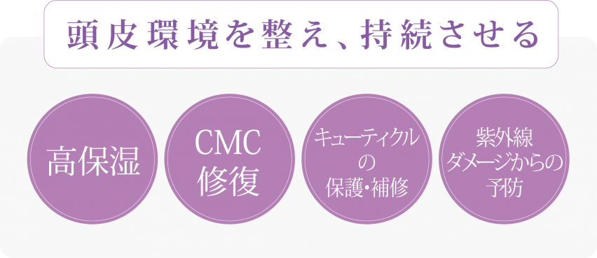 紫輝HCミストの商品画像