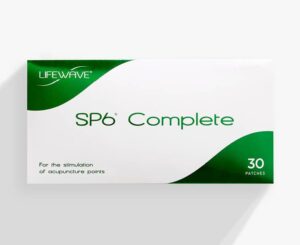 SP6コンプリートの製品画像
